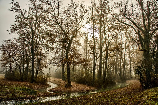 L'Eau, source de vie : Techniques de purification en Survie