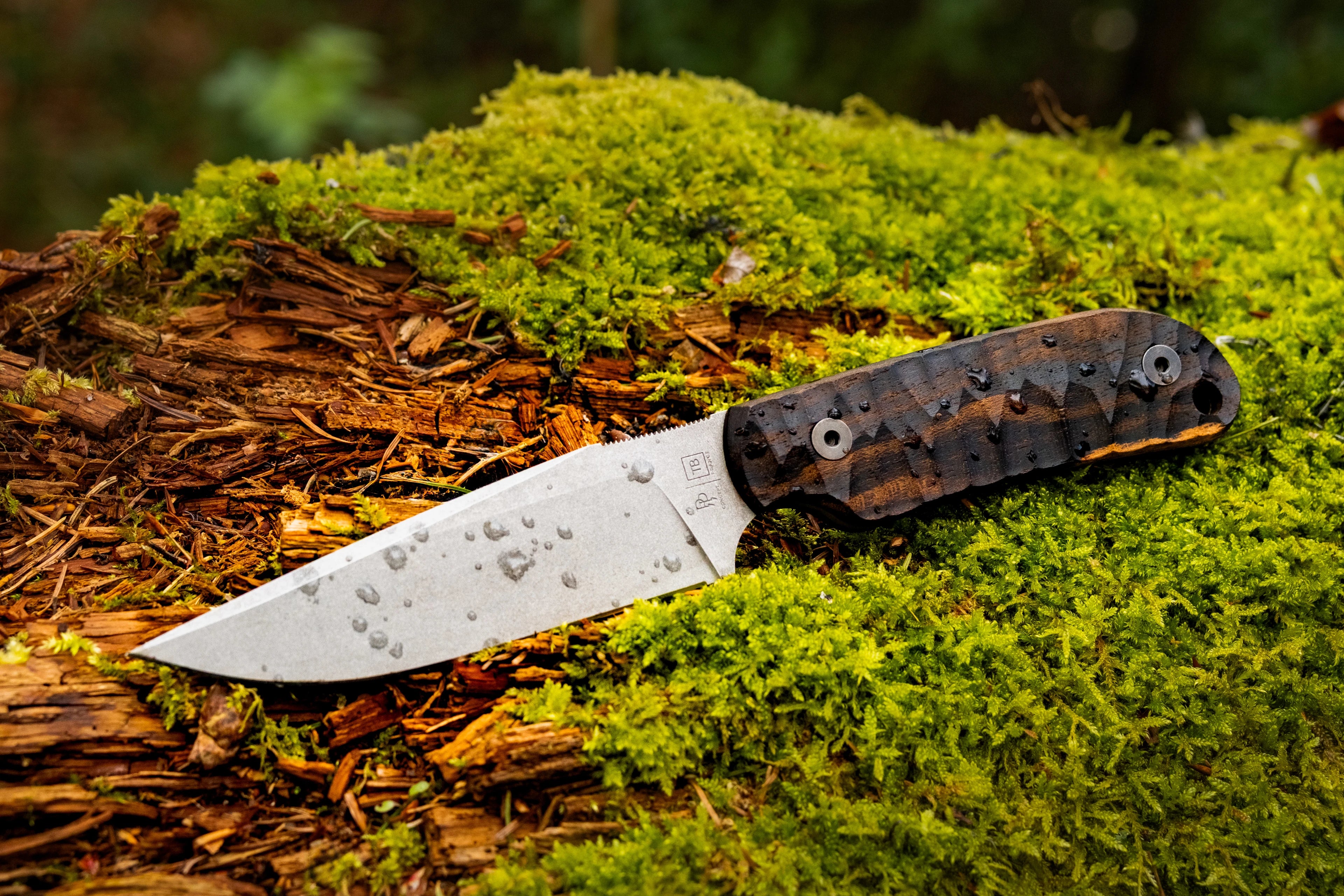 Couteau Commandeur manche ziricote sur mousse verte